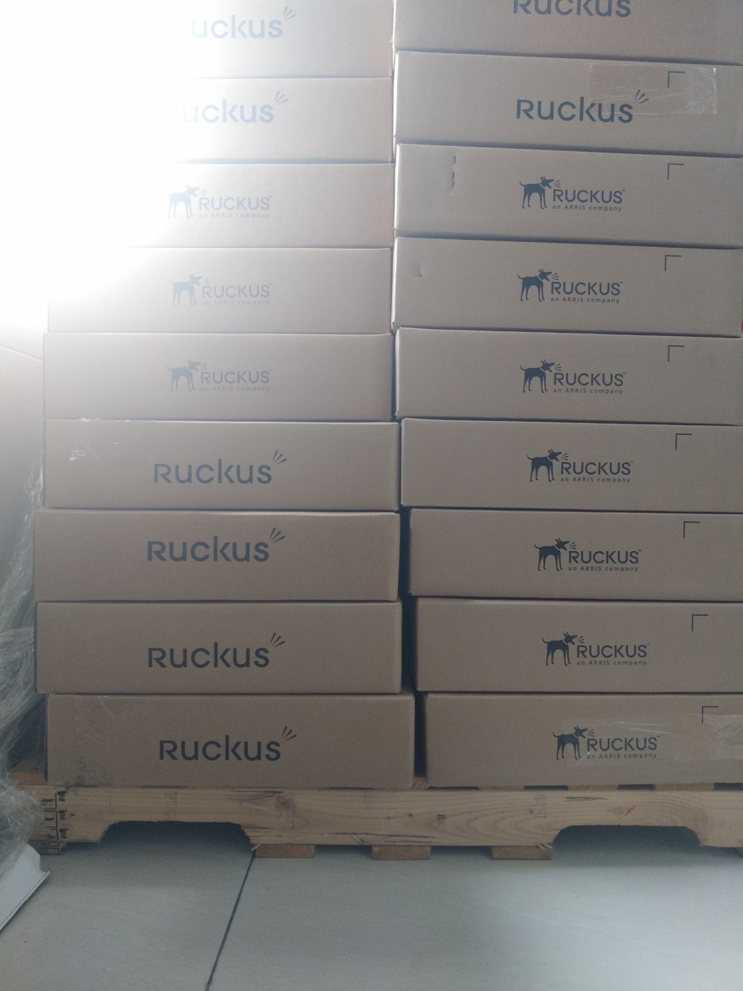 Original New Ruckus ICX 7250 24-Port Switch with 2x10 GBE Uplinks ICX7250-24-2X10G