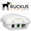 901-T350-WW20 RUCKUS T350 Outdoor Access Point